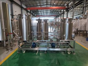 1BBL 2 Vessel Brewery Equipment with Gas Direct-Fire