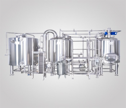 500L 2-Vessel Beer Brewing Equipment
