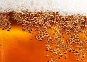 What are the main factors that make up the typicality of beer?