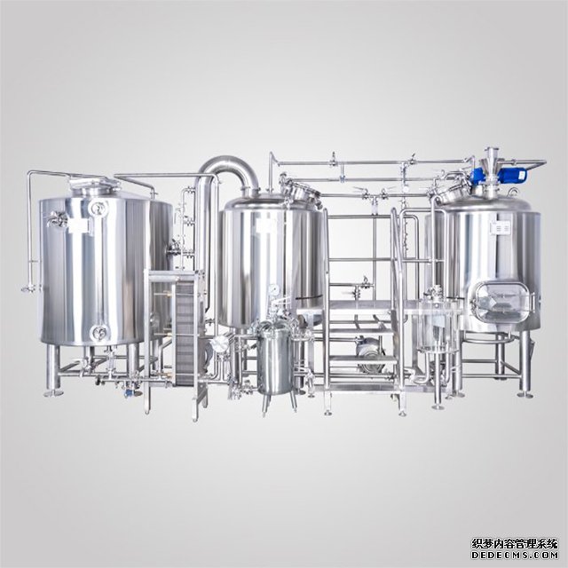 500L Customized Turnkey Craft Beer Brewing System