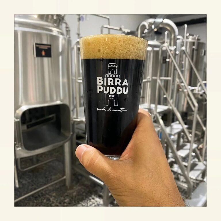 Projet de brassage 1000L
