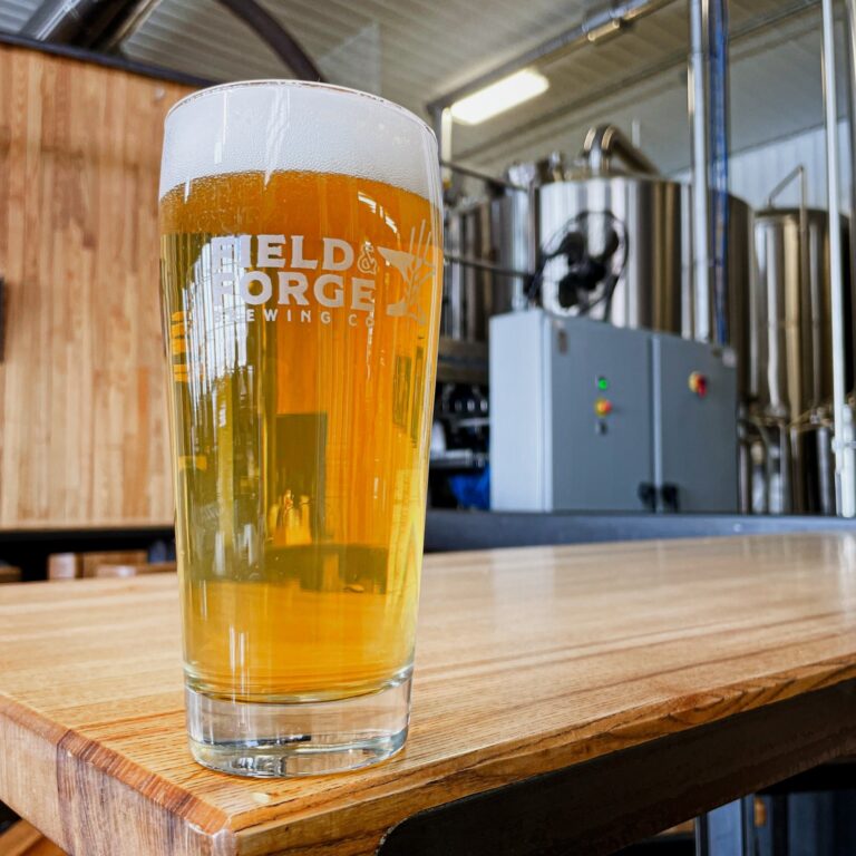 Equipamiento comercial para cervecerías (1)