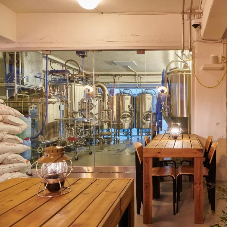 500L Equipo para fabricar cerveza